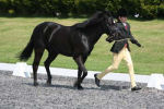 	IMG_8151	 Alan Long