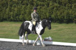 	IMG_8561	 Alan Long